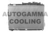 HYUNDAI 253103J000 Radiator, engine cooling